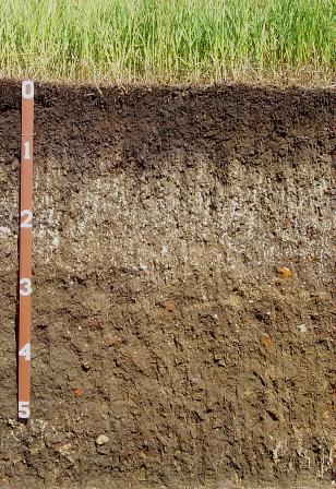 South Dakota state soil, Houdek soil