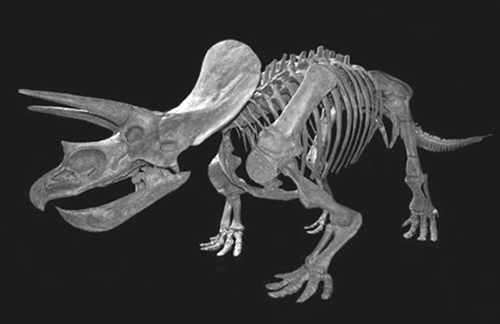 Triceratops, the South Dakota state fossil